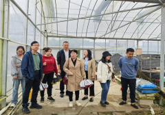 “碳汇+”巾帼科特派办事团开展科技帮农勾当