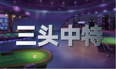 2023年新澳门搅珠汗青V