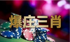 铁盘妙算手机论坛