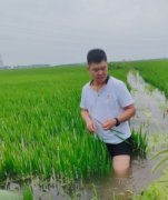 <b>阳光财险：阐扬帮力村落全面复兴的安全力量</b>