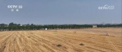 多地积极应对高温气候 科学抗旱保障夏种夏管成