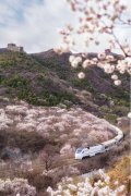 列车穿花海文旅促复兴