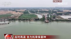 各地亲近监测旱情成长 多措并举、全力以赴抗旱